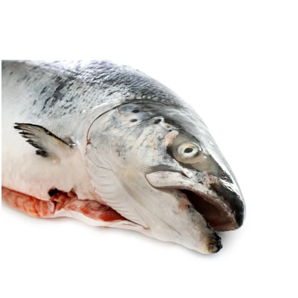 Cabeza de salmón Fresmar