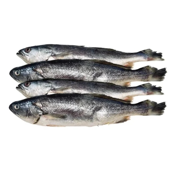 Pelada Fresmar