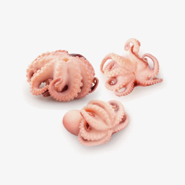 Pulpo Baby Fresmar